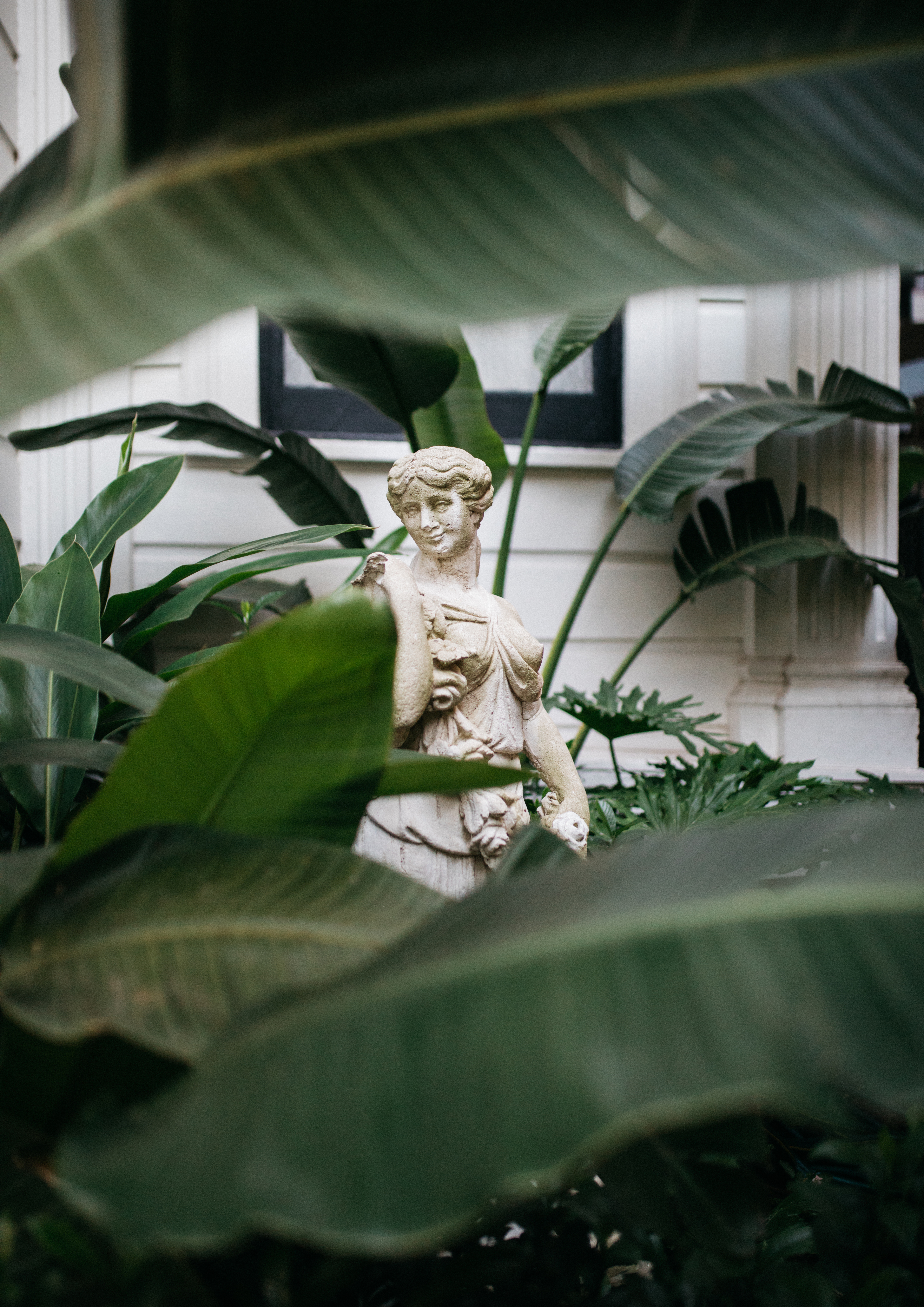 A statue of a woman surrounded by large green leaves and plants in front of a white building.